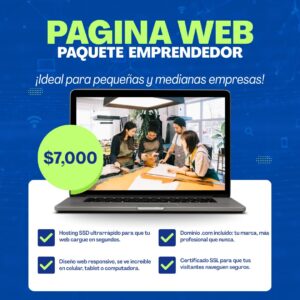 Pagina Web "Emprendedor"